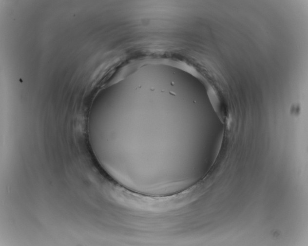 X0000091460035200709061806