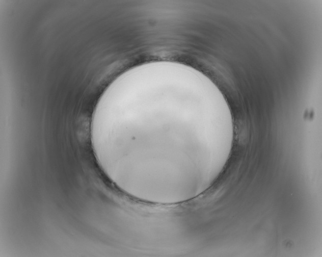 X0000091460036200709061806