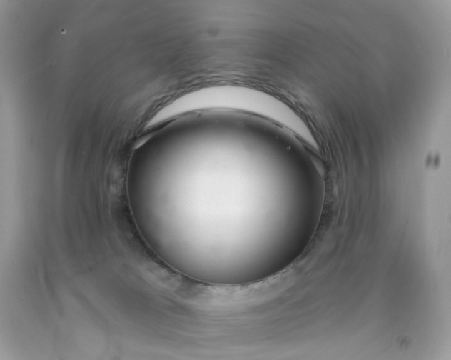 X0000091460037200709061806