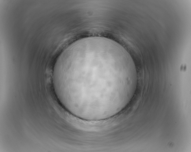 X0000091460038200709061806