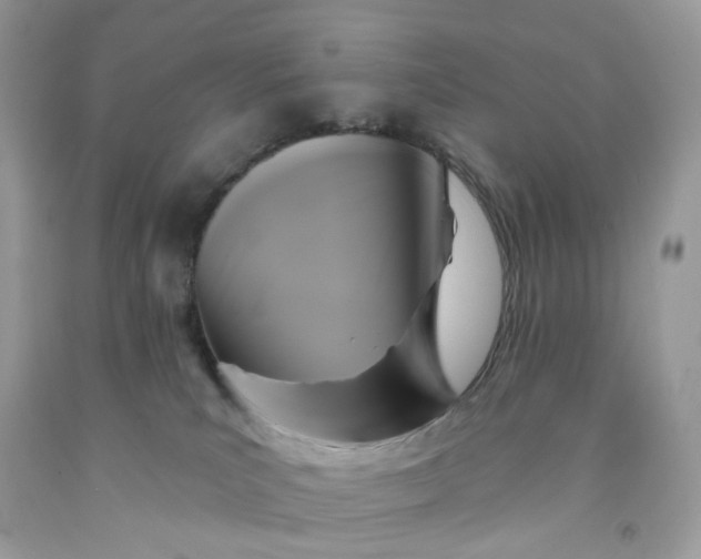 X0000091460039200709061806