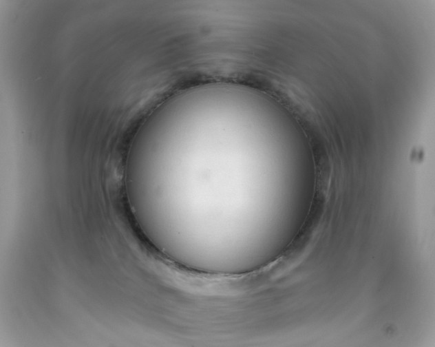 X0000091460040200709061806