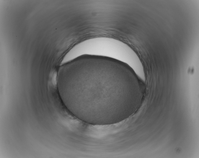 X0000091460041200709061806