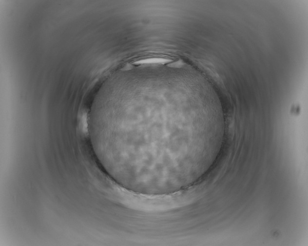 X0000091460042200709061806