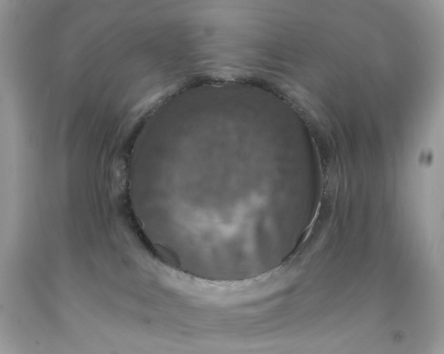 X0000091460043200709061806