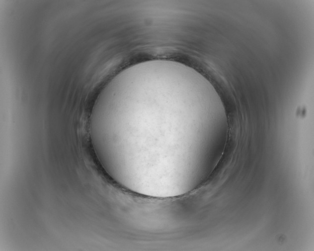 X0000091460044200709061806