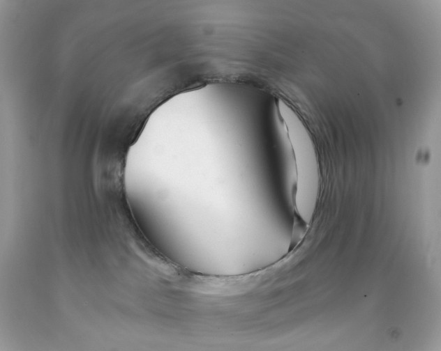 X0000091460045200709061806