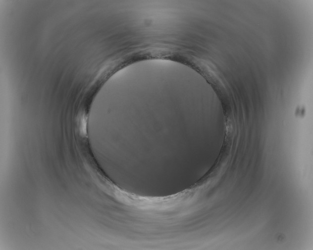 X0000091460046200709061806