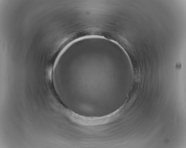 X0000091460047200709061806