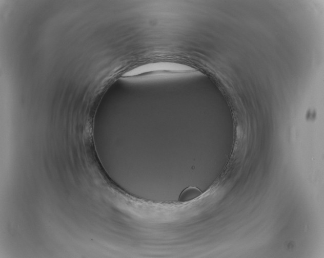 X0000091460048200709061806