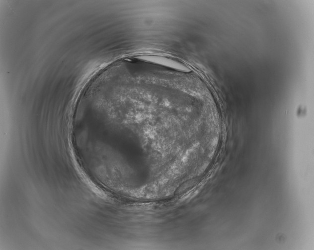 X0000091460049200709061805