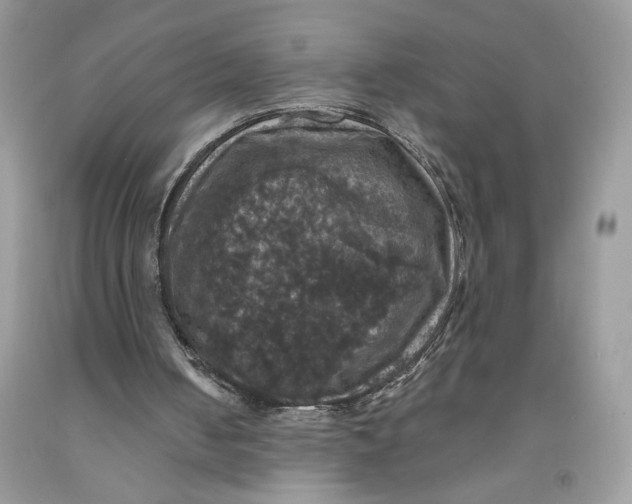 X0000091460050200709061805