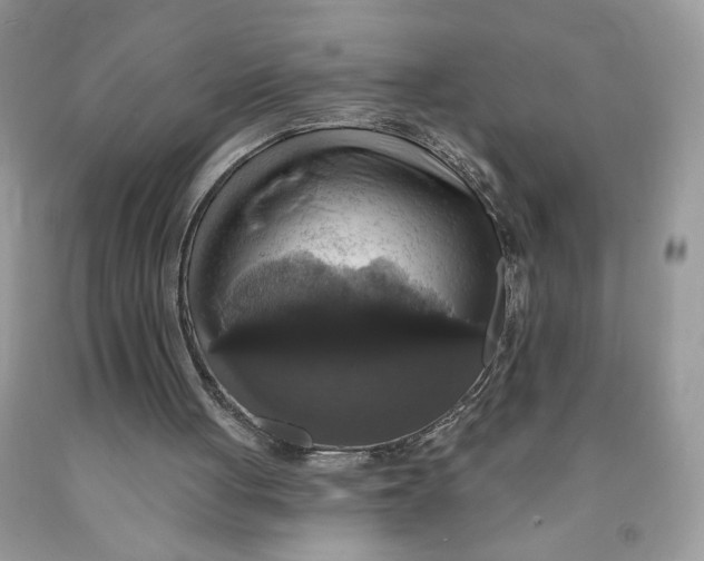 X0000091460051200709061805