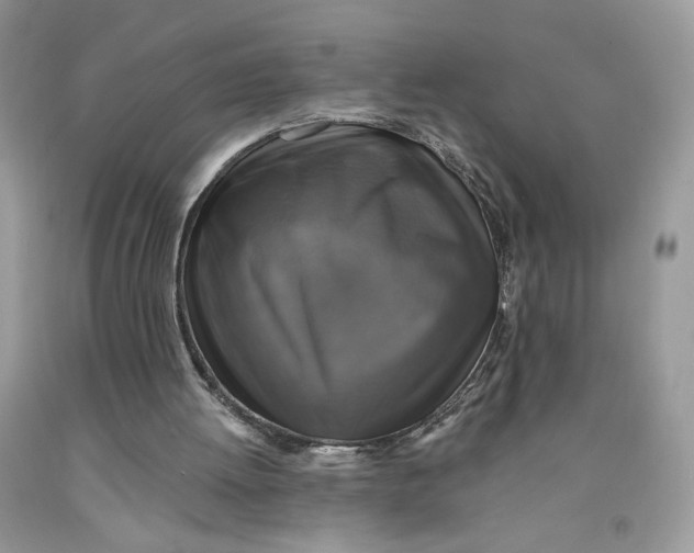 X0000091460052200709061805