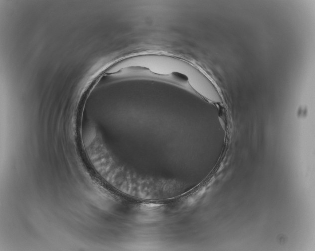 X0000091460055200709061805