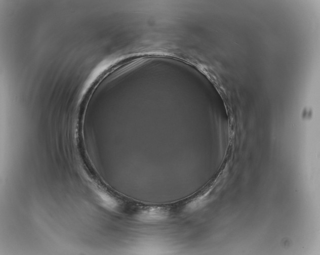 X0000091460056200709061805