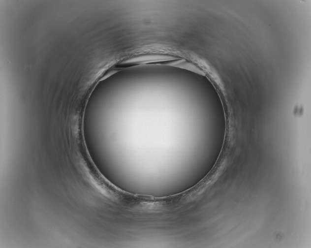 X0000091460057200709061805