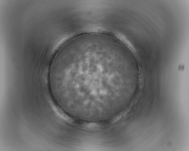 X0000091460058200709061805