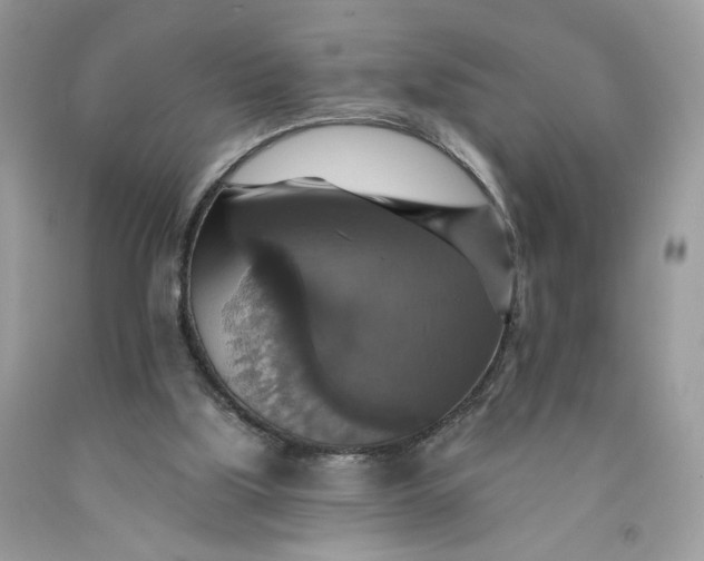 X0000091460059200709061805