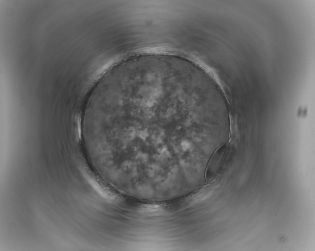 X0000091460061200709061805
