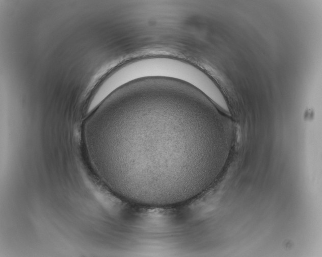 X0000091460064200709061805
