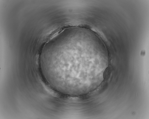 X0000091460066200709061805