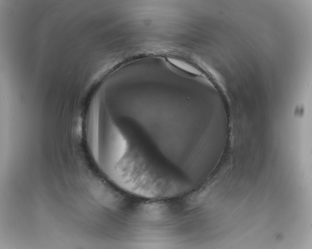 X0000091460067200709061805