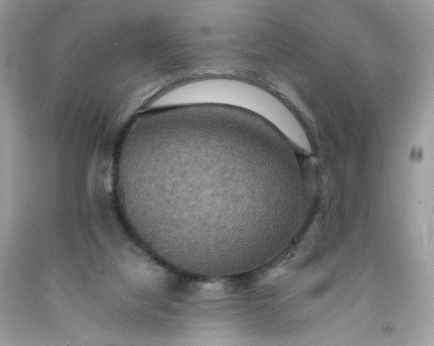 X0000091460068200709061805