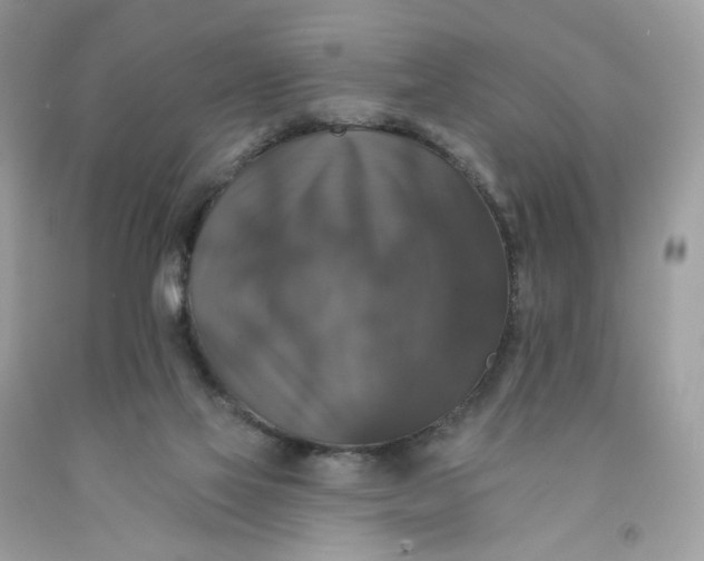 X0000091460069200709061805