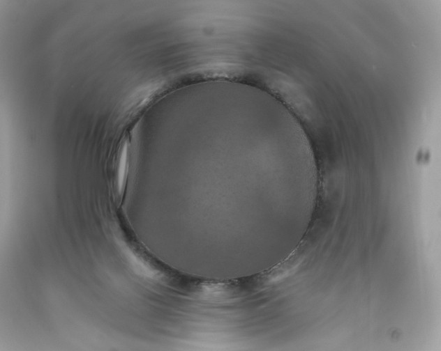 X0000091460070200709061805
