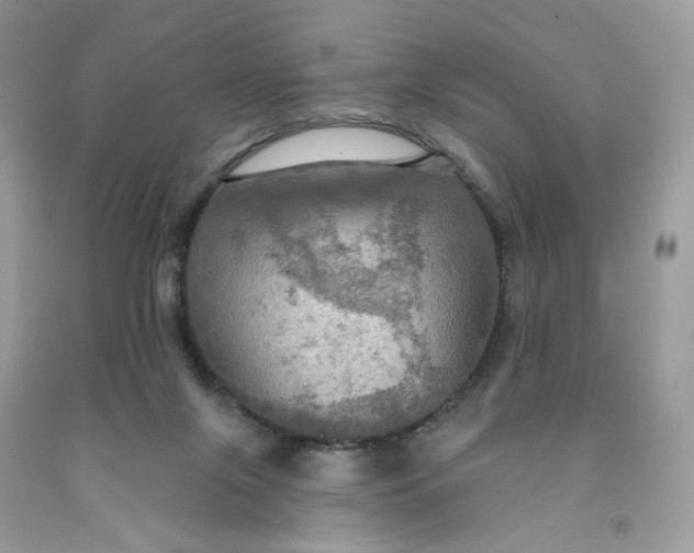 X0000091460071200709061805
