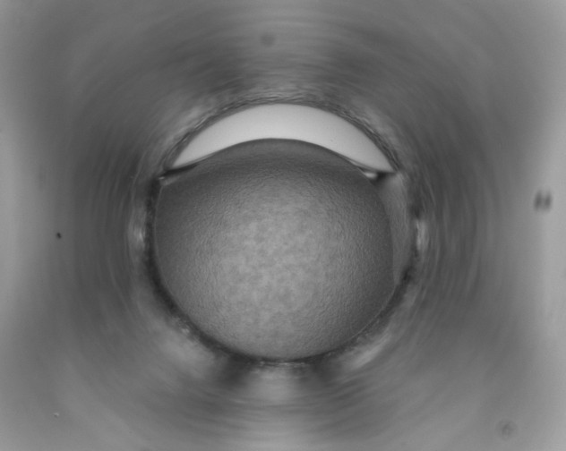 X0000091460072200709061805