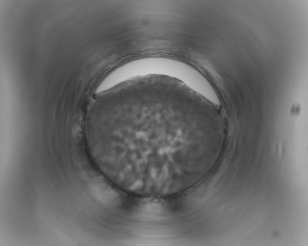 X0000091460073200709061805