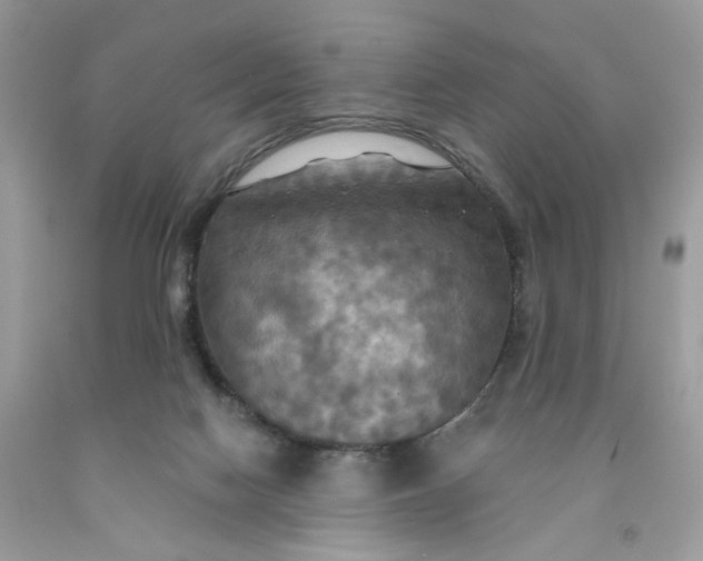X0000091460074200709061805