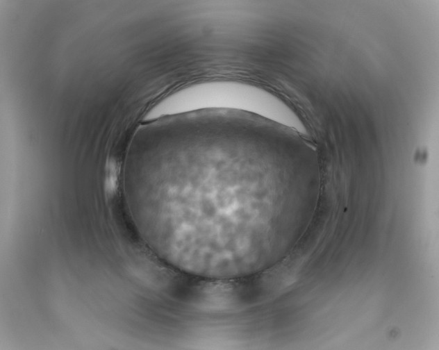 X0000091460075200709061806