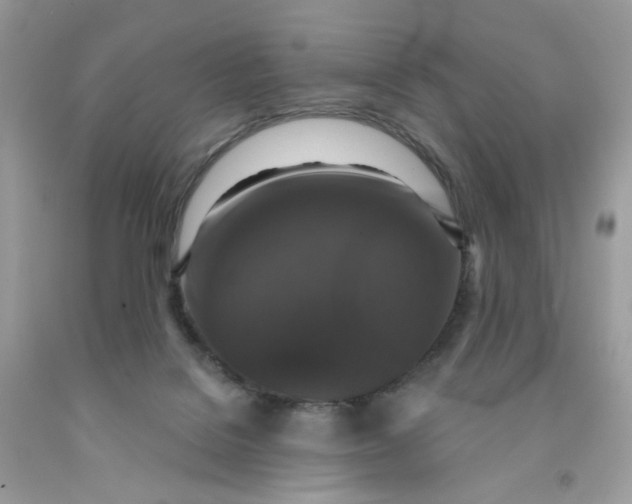 X0000091460076200709061806