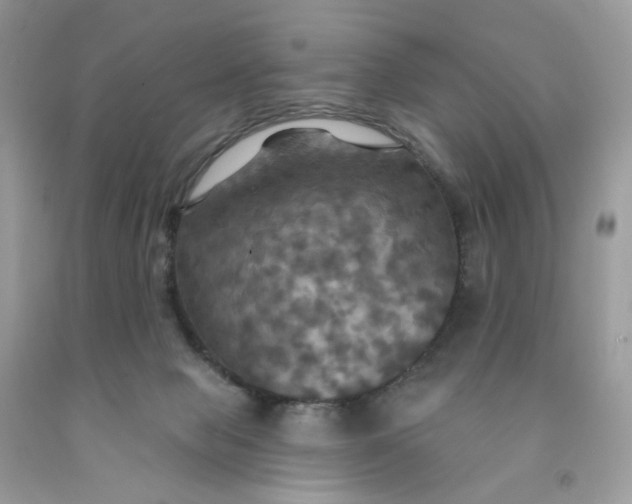 X0000091460077200709061806