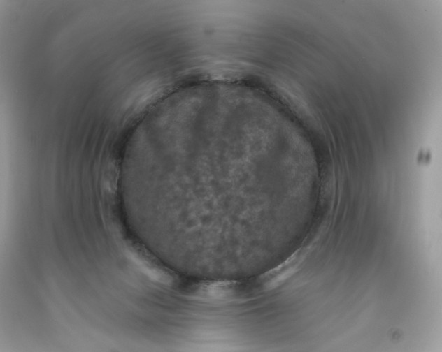 X0000091460078200709061806