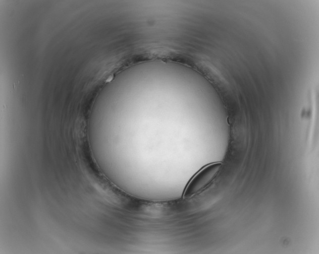 X0000091460079200709061806