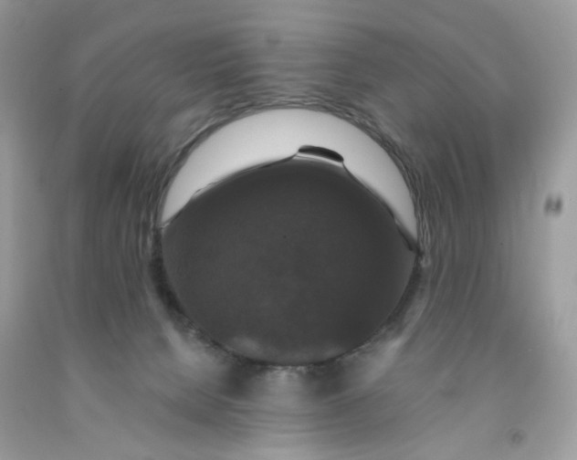 X0000091460080200709061806