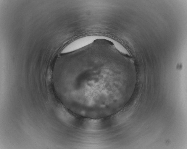 X0000091460081200709061806