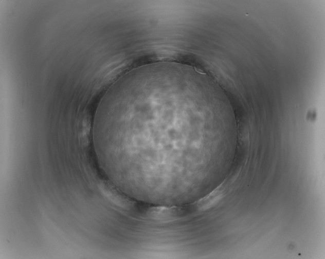 X0000091460082200709061806