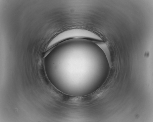 X0000091460084200709061806