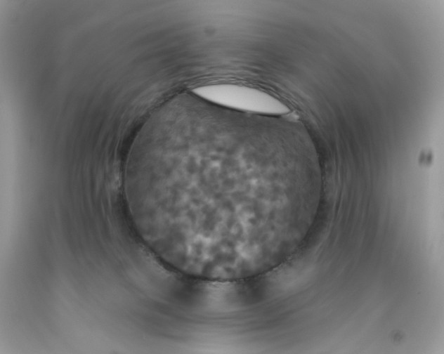 X0000091460085200709061806