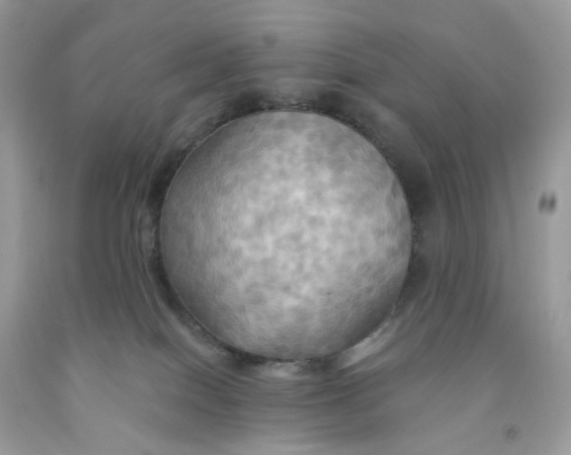 X0000091460086200709061806