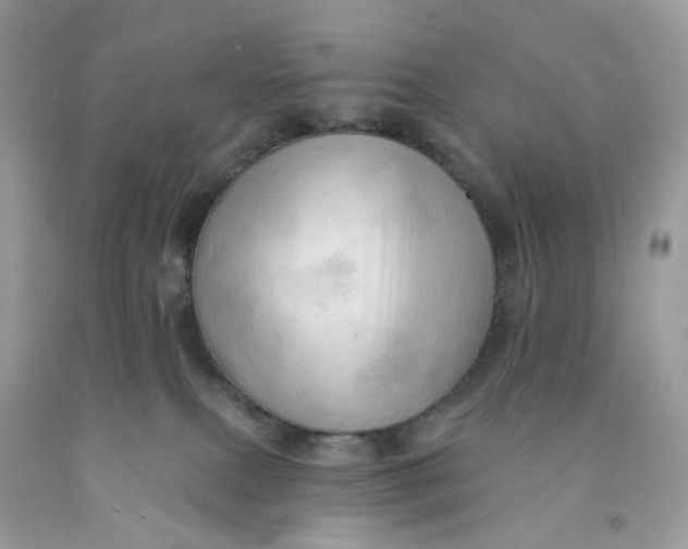 X0000091460087200709061806