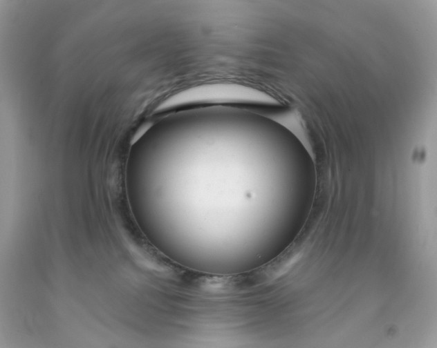 X0000091460088200709061806