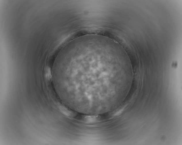 X0000091460089200709061806