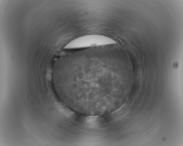 X0000091460090200709061806