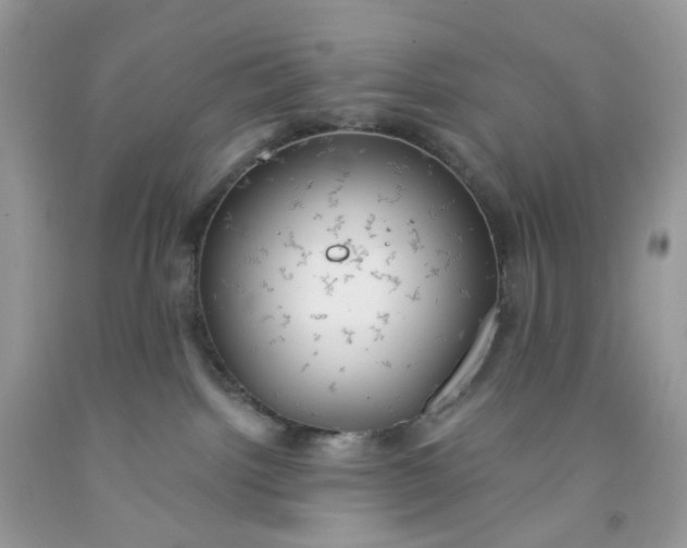 X0000091460092200709061806